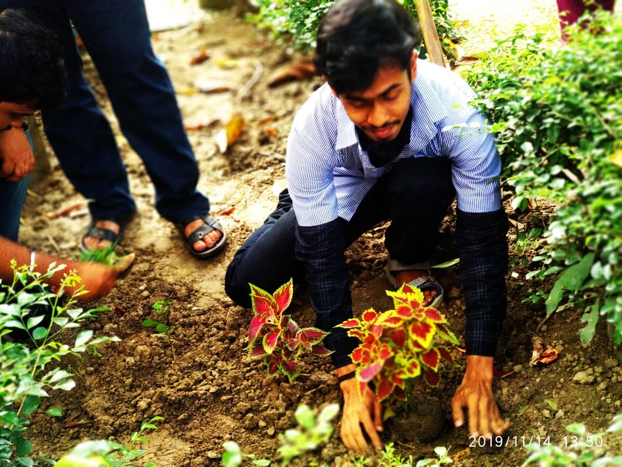Prajnanananda Institute of Technology & Management Kolkata Tree Plantation photo 4